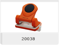 20038